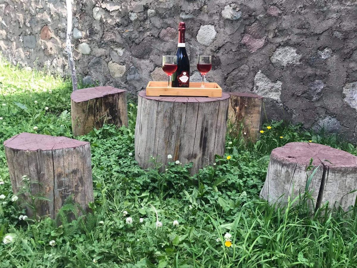 Crystal Kazbegi 호텔 외부 사진