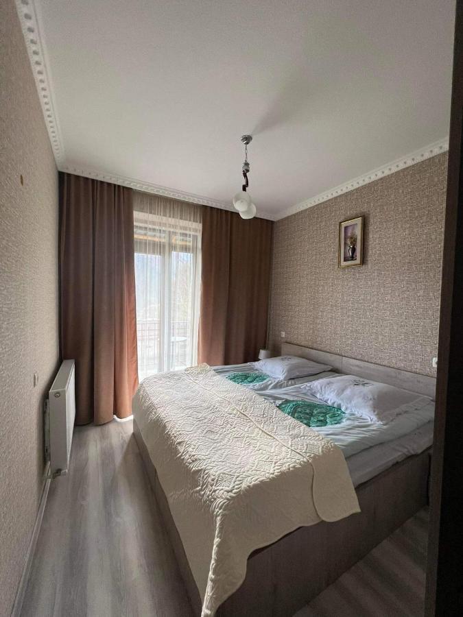 Crystal Kazbegi 호텔 외부 사진