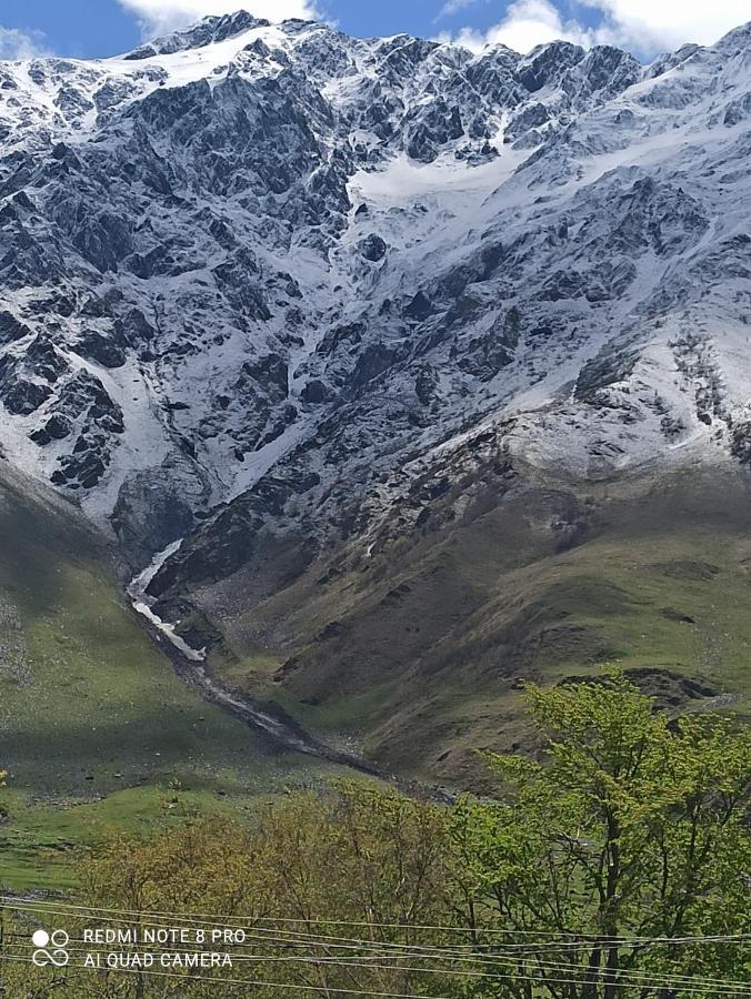 Crystal Kazbegi 호텔 외부 사진