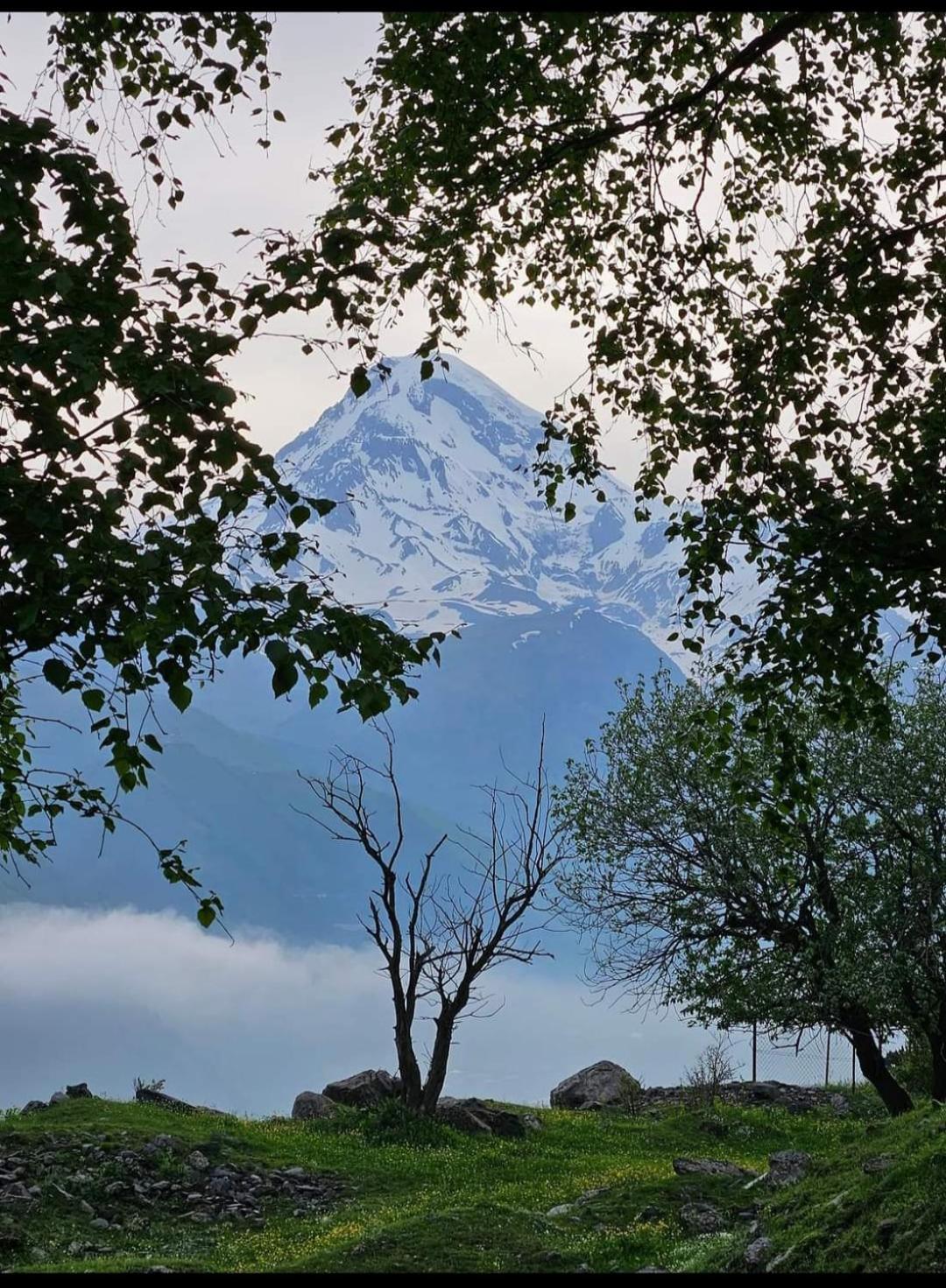 Crystal Kazbegi 호텔 외부 사진